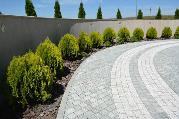 Best Driveway Pavers Near Me  in Woodridge, IL